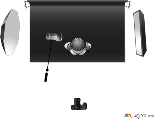 Rembrandt by Guest User