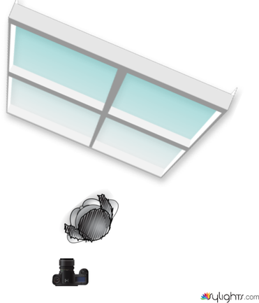 woman  by Guest User