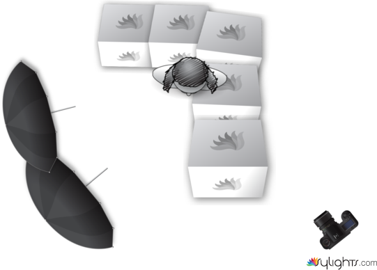 set01 客廳主視覺 by Guest User