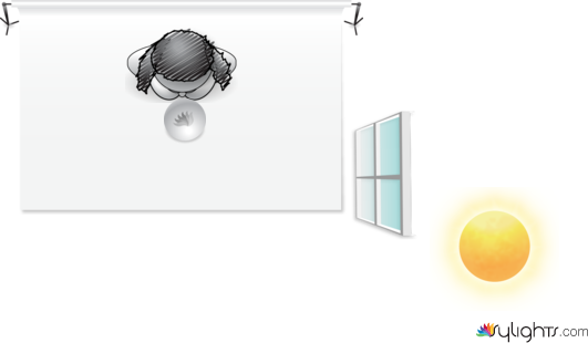 PLANTA 2 by Guest User