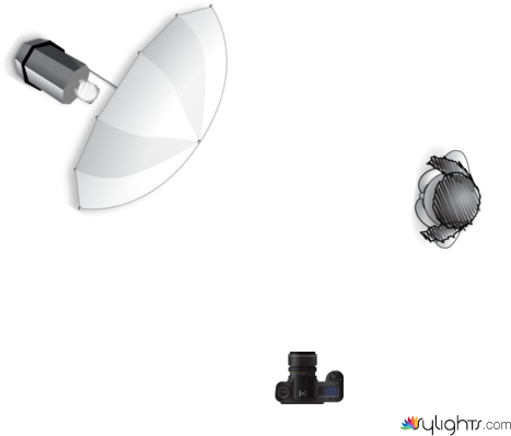 image 2 by Guest User