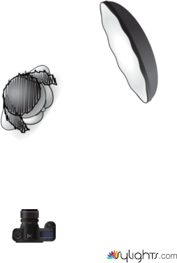 xcvbnm by Guest User