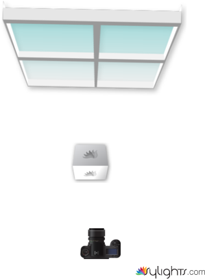 y5yy45y by Guest User