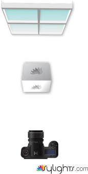 Opcion 3 by Guest User