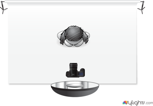 dual diagram 2 by Guest User