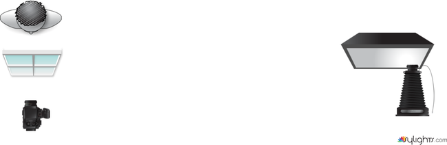 maceta by Guest User