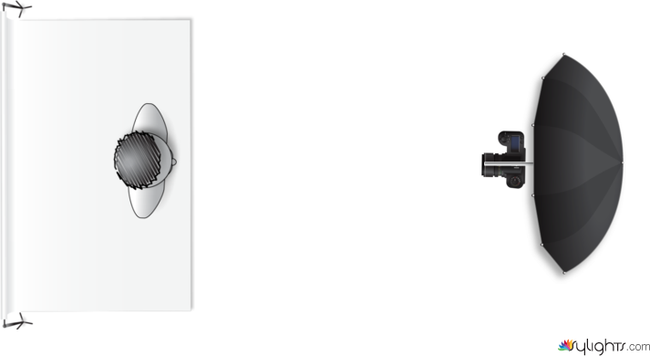 Umbrella by Guest User