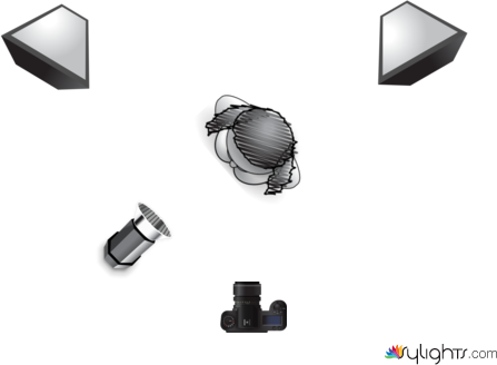 butterfly by Guest User