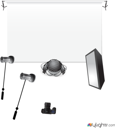 butterfly by Guest User