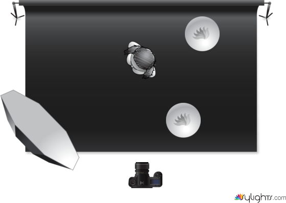 Lina Tesch Recover by Guest User