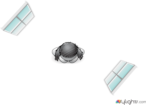 Image 2 by Guest User