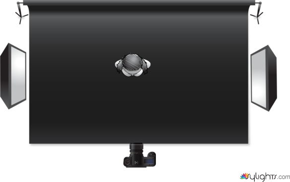 practica de lula by Guest User