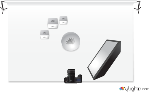 flowers by Guest User