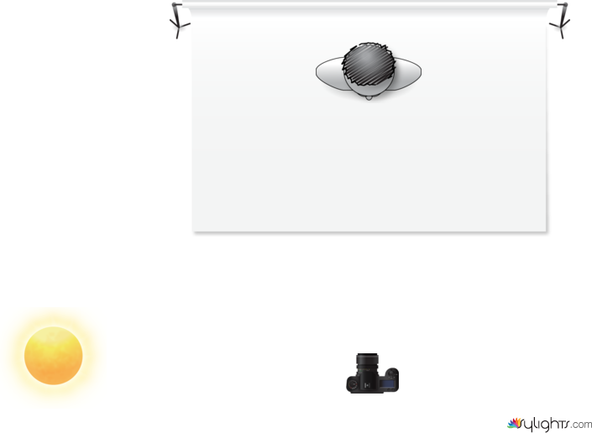 product by Guest User