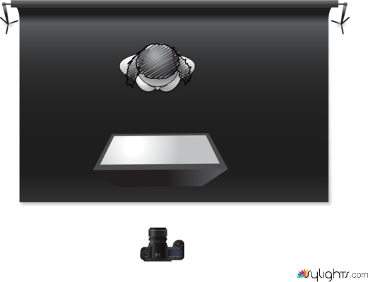 Butterfly by Guest User