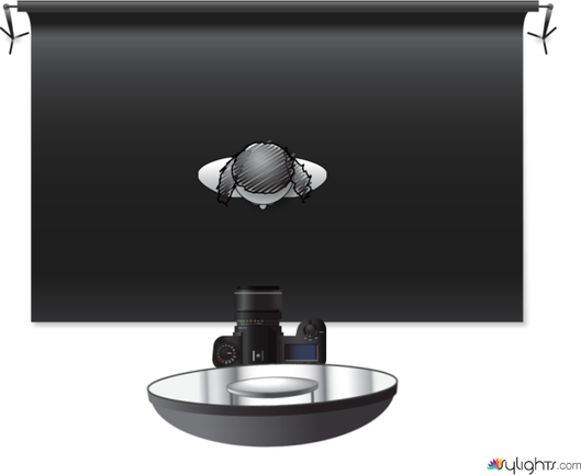 Butterfly Lighting by Guest User