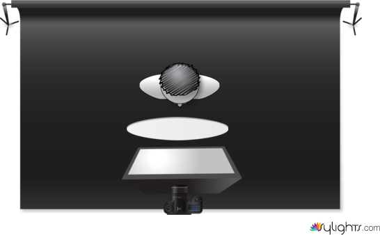 Butterfly by Guest User