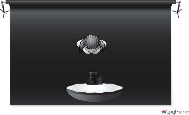 butterfly by Guest User