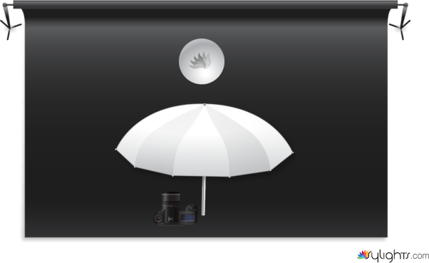 Still Life 3 by Guest User