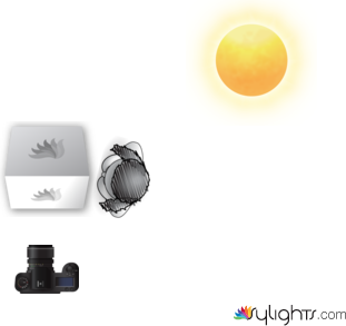 longchips by Guest User