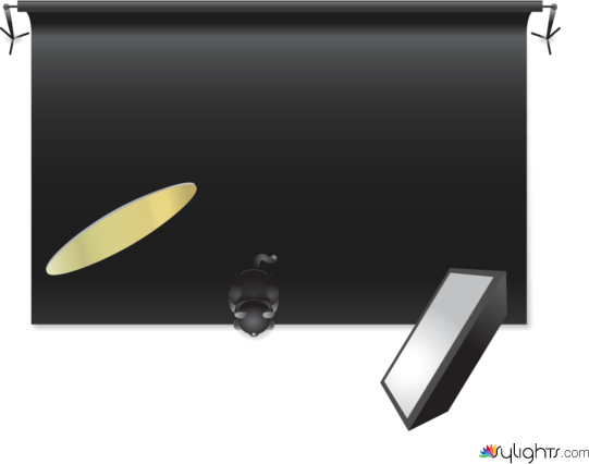 sbchdav by Guest User