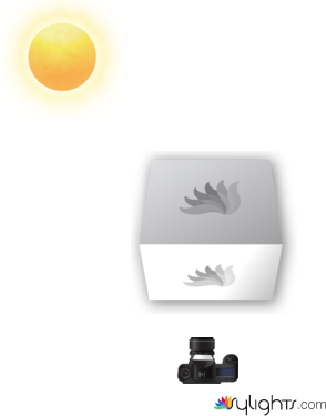 cerveza by Guest User