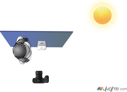 sponge by Guest User