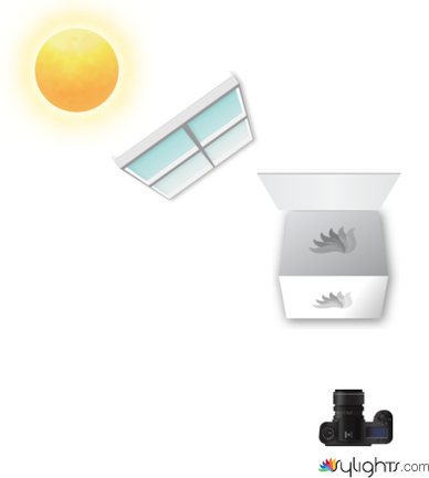 galleta by Guest User