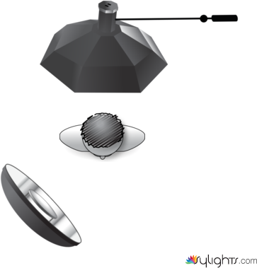 retrato corporativo by Guest User