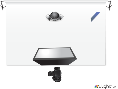 carina by Guest User