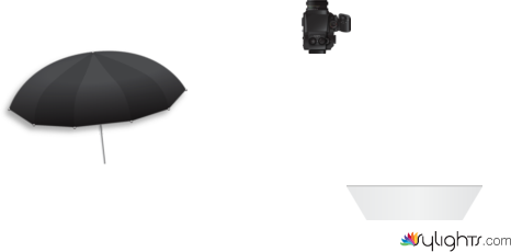 Testing by Guest User