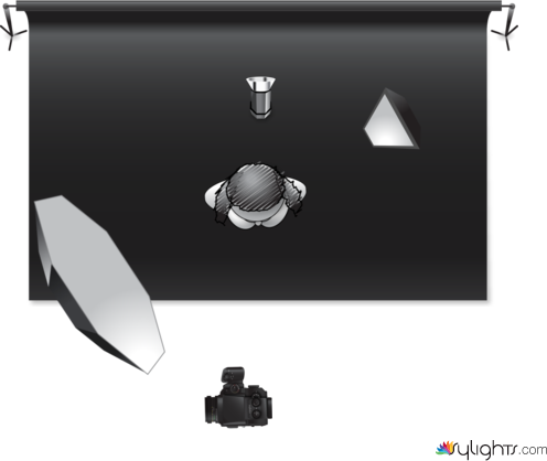 Viviana Alvarado by Guest User