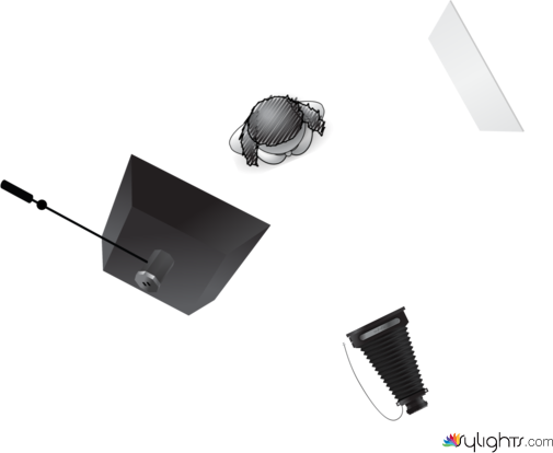 ThomasRex_FMS376_LightingDiagram by Guest User