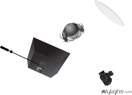 ThomasRex by Guest User