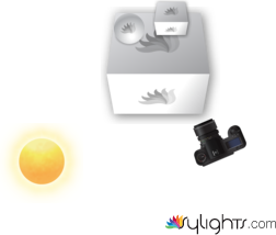 Sarita by Guest User