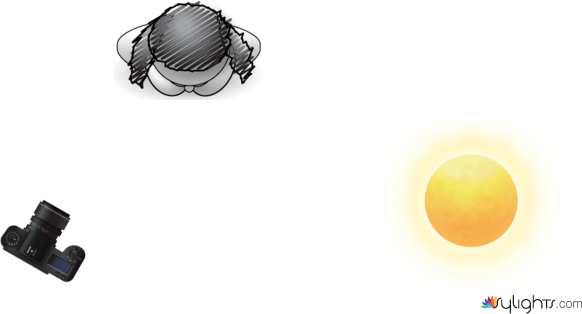 Alegria by Guest User