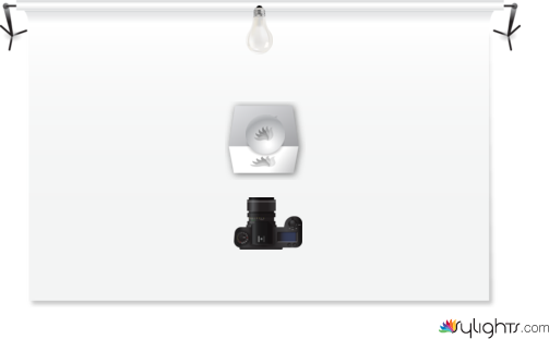 Natural History Diagram by Guest User