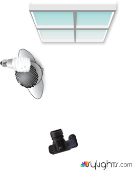 29-09-22 Morley Corridor 9 of 9 by Guest User