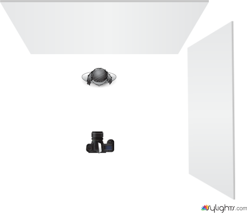 dagramma poldo by Guest User