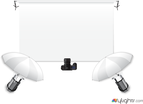 Shoe Product by Guest User