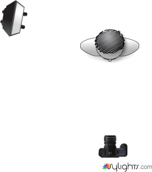 Cristopher by Guest User