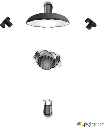 Beauty Dish by Guest User