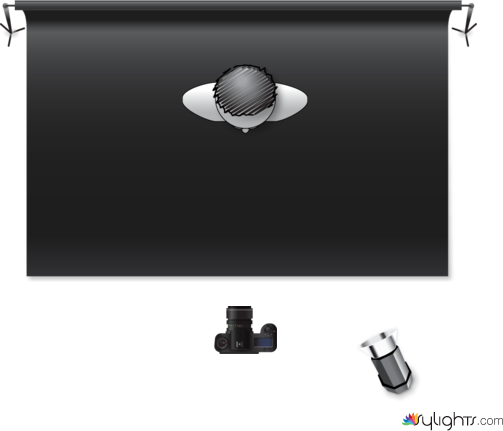 spotlight by Guest User