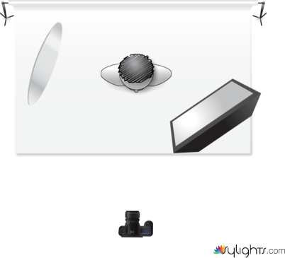 Celebrity by Guest User