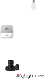 parchís by Guest User