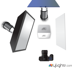 butterfly by Guest User