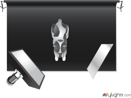 one light reflector by Guest User