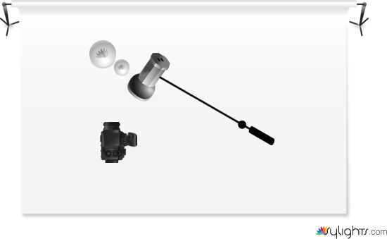 butterfly by Guest User