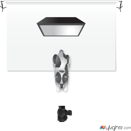 rim lighting  by Guest User