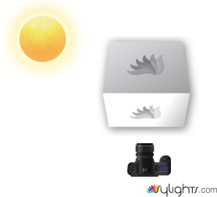 zxcvbndfghj by Guest User